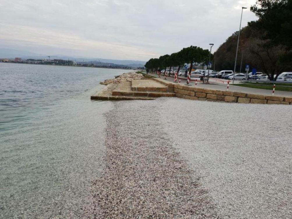 Sobe Al Moletto Apartment Koper Exterior photo